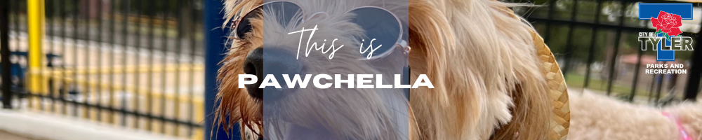 It's Pawchella Time - web header