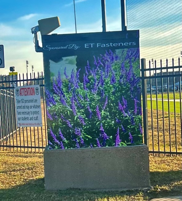 Wrapped Traffic Box with picture of lavender