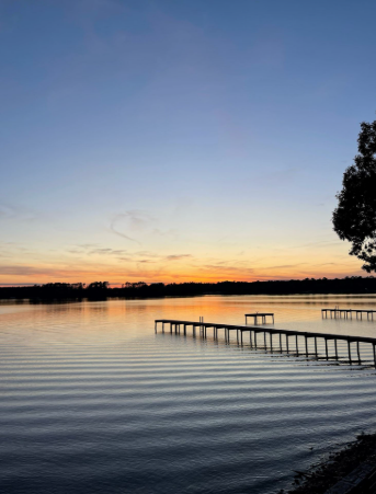 Screenshot 2025-05-01 11.32.04 AM