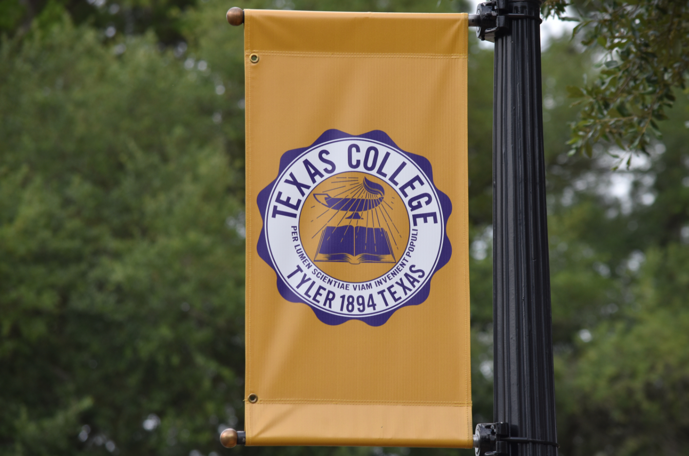 Tyler Historic Resources Survey begins for Texas College area neighborhoods