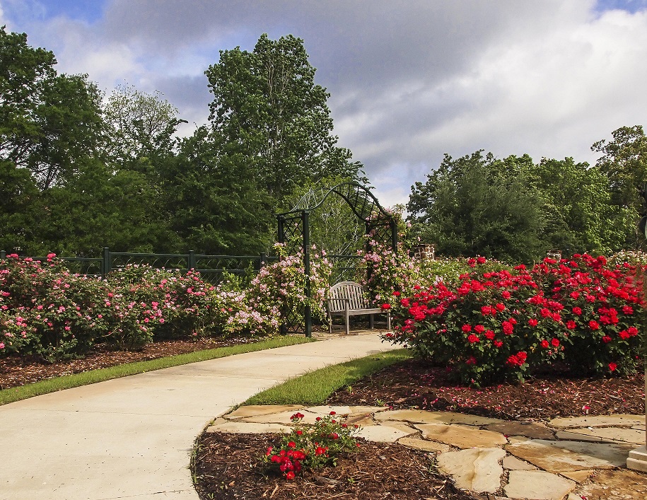 Sidewalk and Flowers