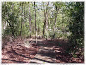 Nature Trail